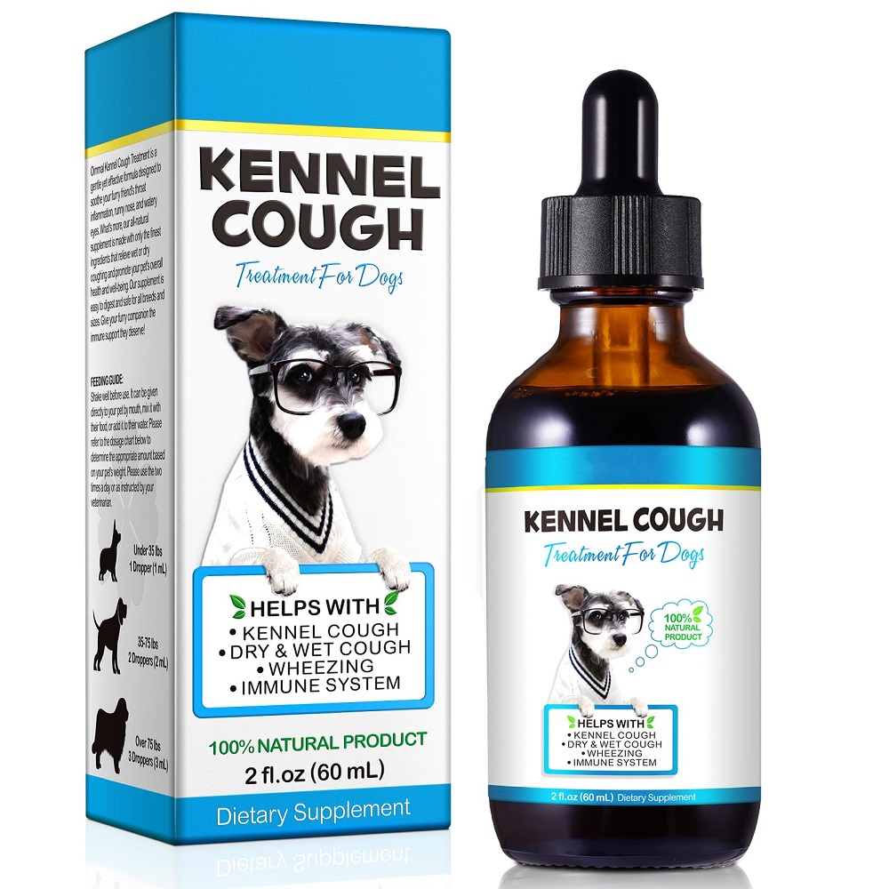 how to treat kennel cough