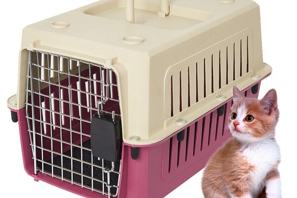 cat kennel