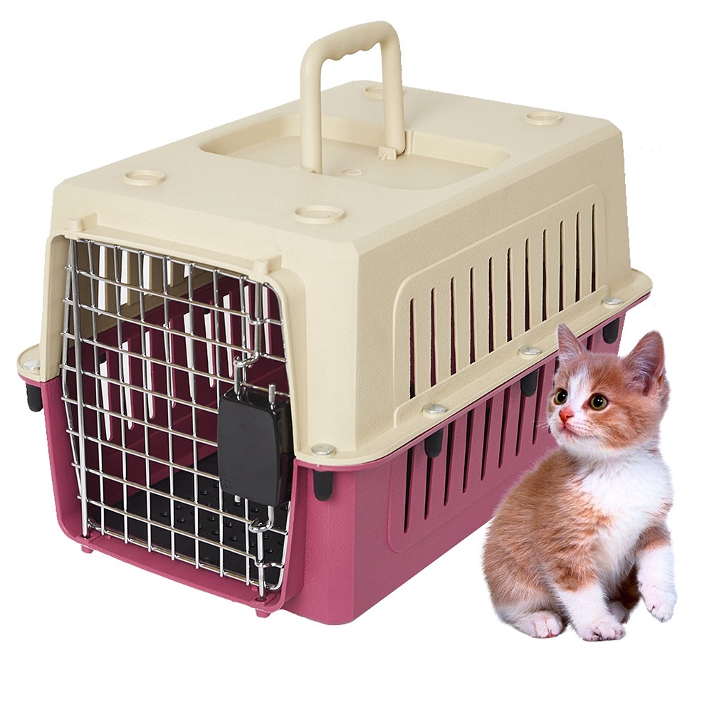 cat kennel