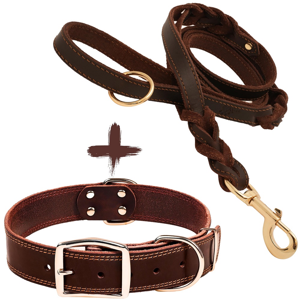 leather dog collars leashes