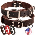 leather dog collars leashes