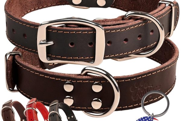 leather dog collars leashes