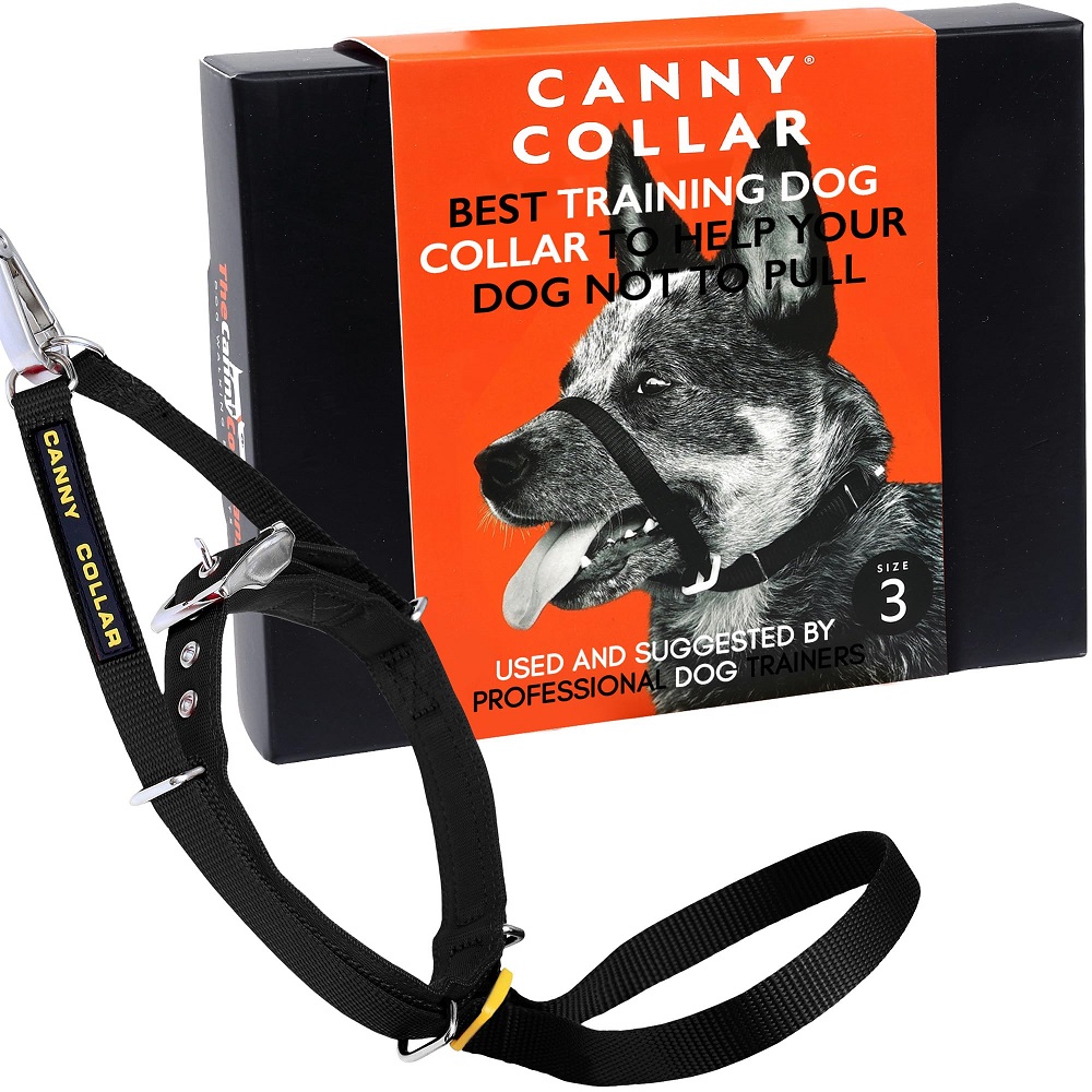 types of dog leashes and collars