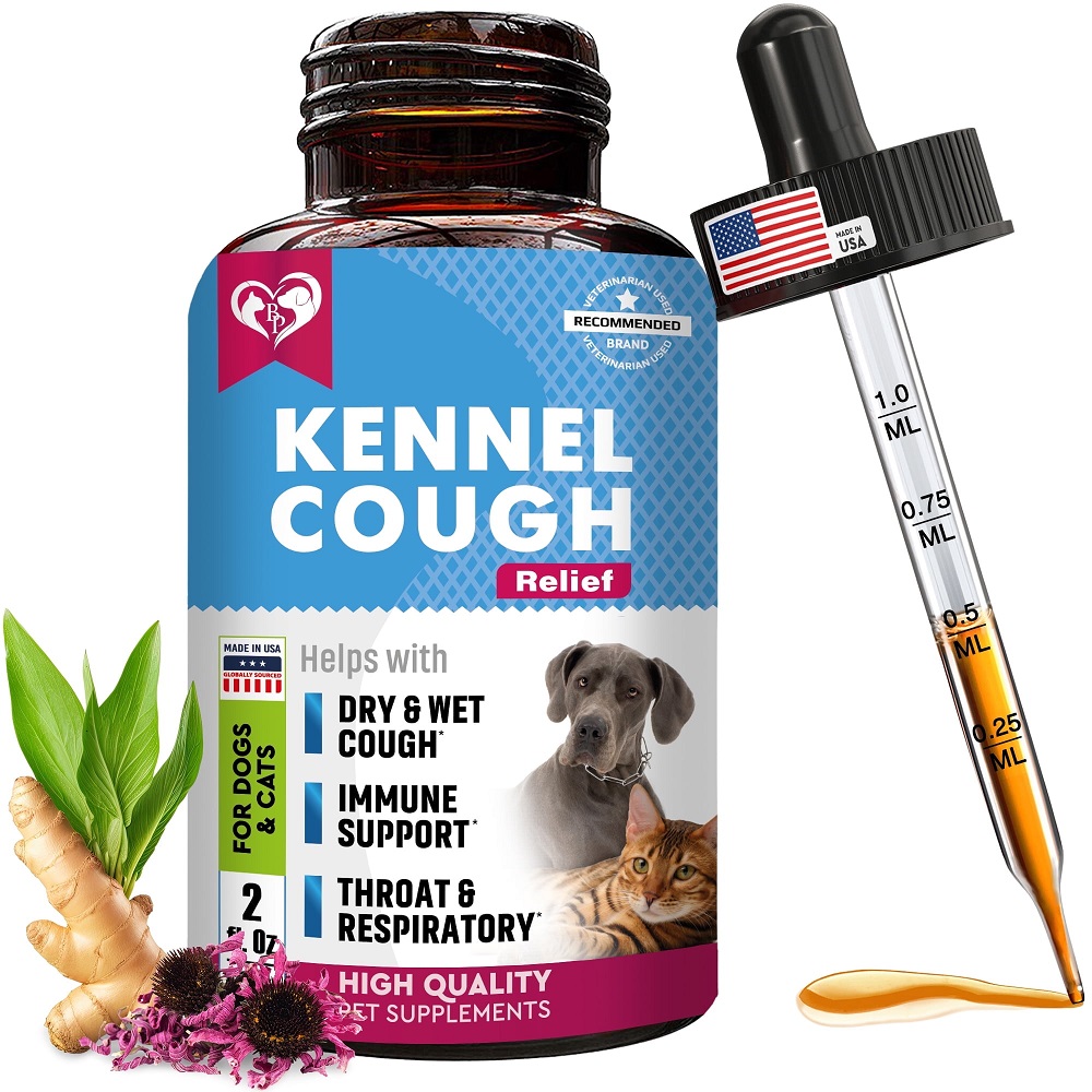 kennel cough treatment