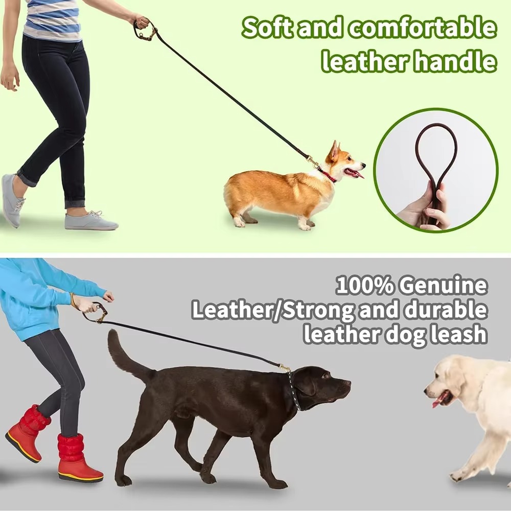 when were dog leashes invented