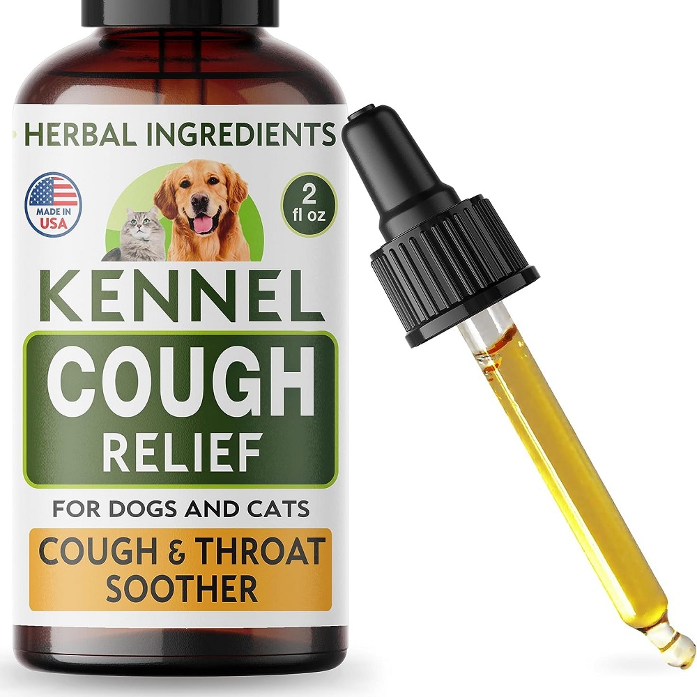 kennel cough treatment