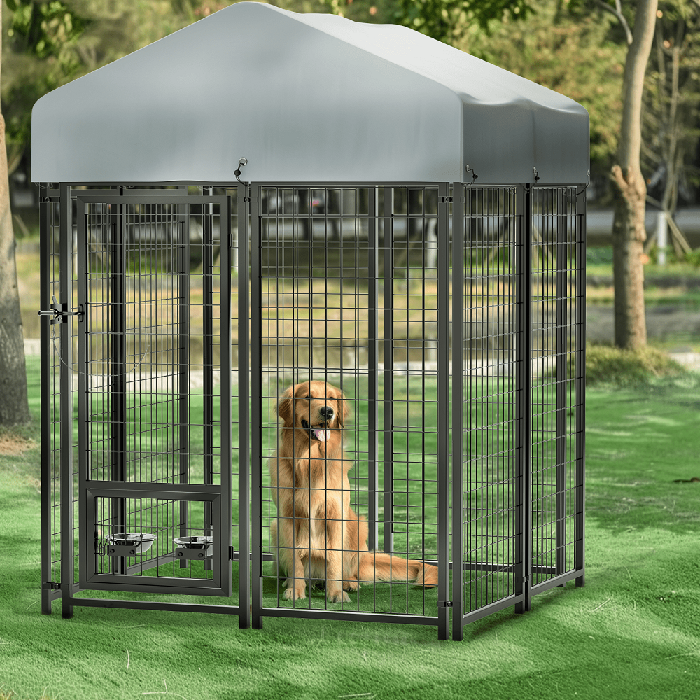 outdoor dog kennel