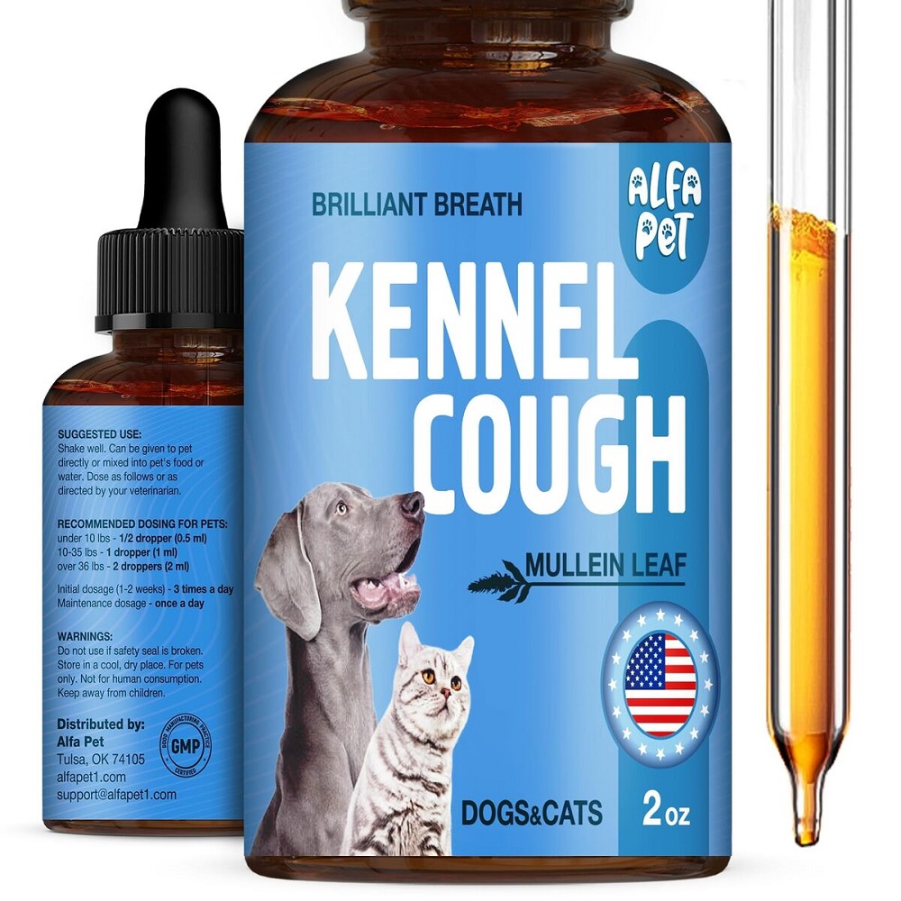 kennel cough symptoms