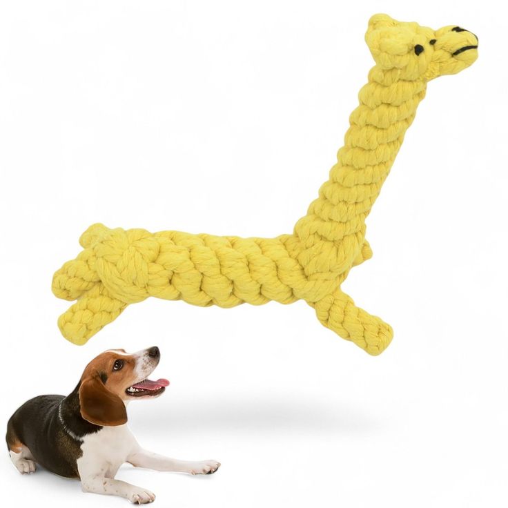 toy for pets