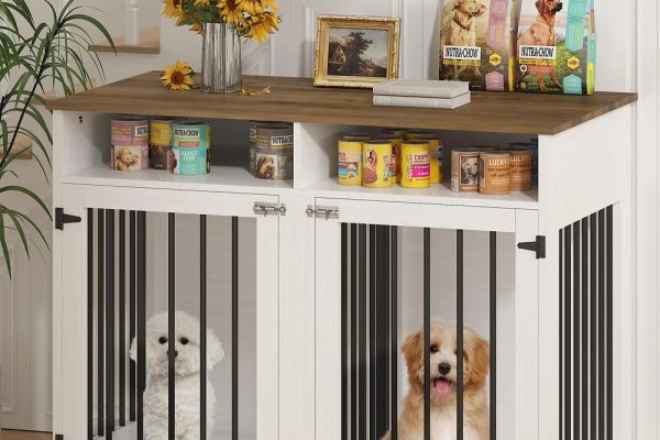 indoor dog kennel