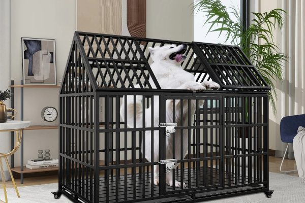 heavy duty dog kennel