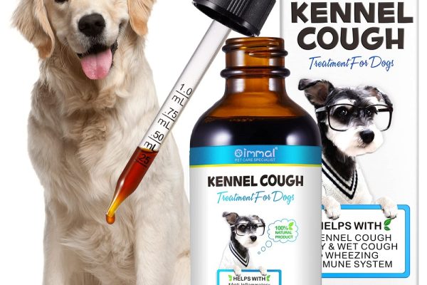 how do dogs get kennel cough