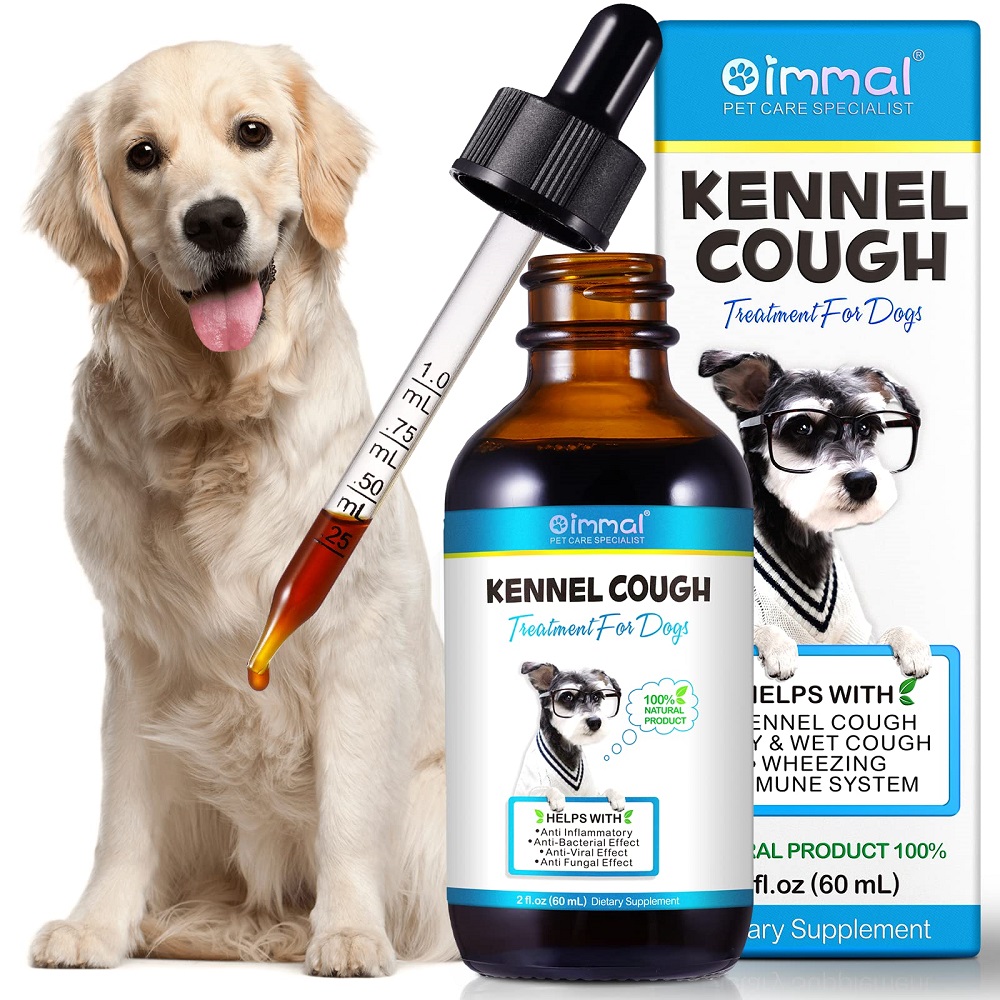 how do dogs get kennel cough