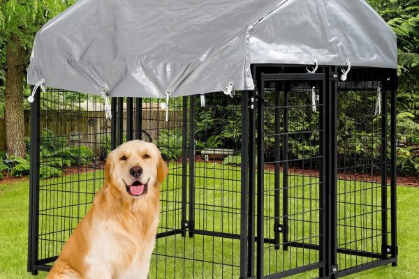 retriever dog kennel