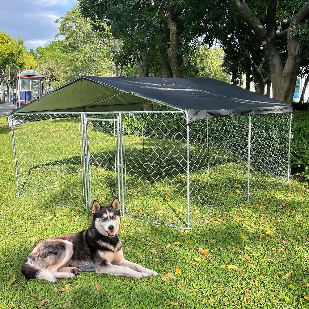 outdoor dog kennel with roof