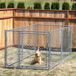 chain link dog kennel