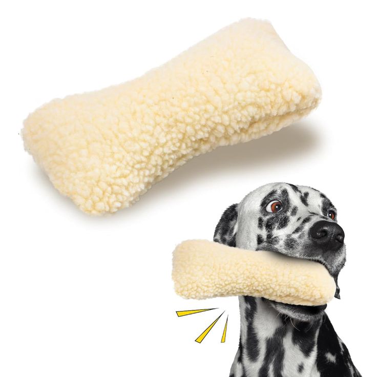 washable pet toys