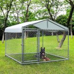 outdoor dog kennel with roof