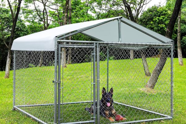 outdoor dog kennel with roof