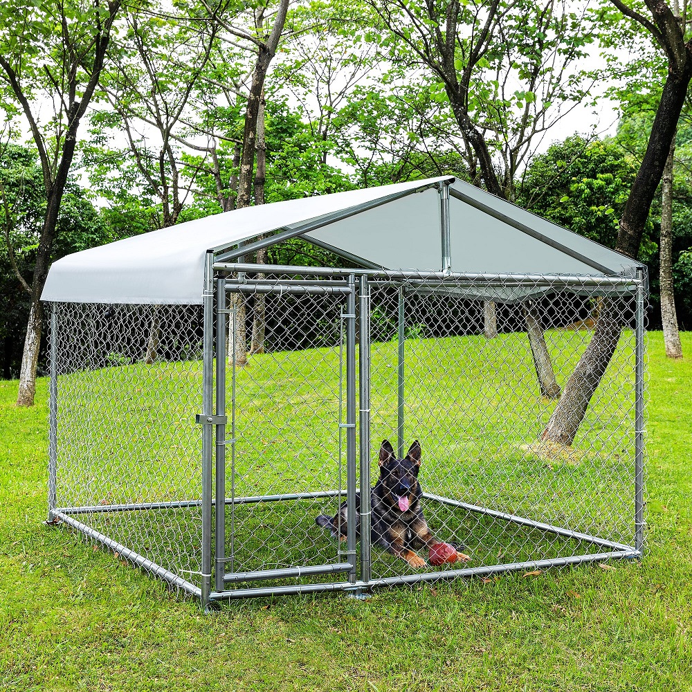 outdoor dog kennel with roof