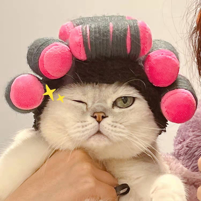 Cat wig