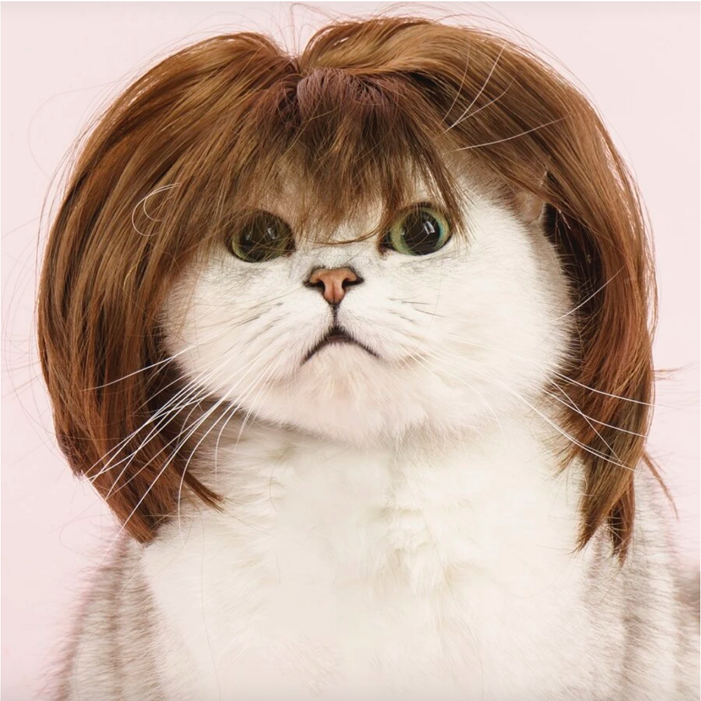 Cat wig