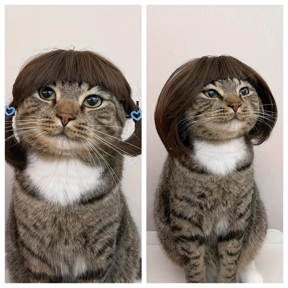 Cat wig