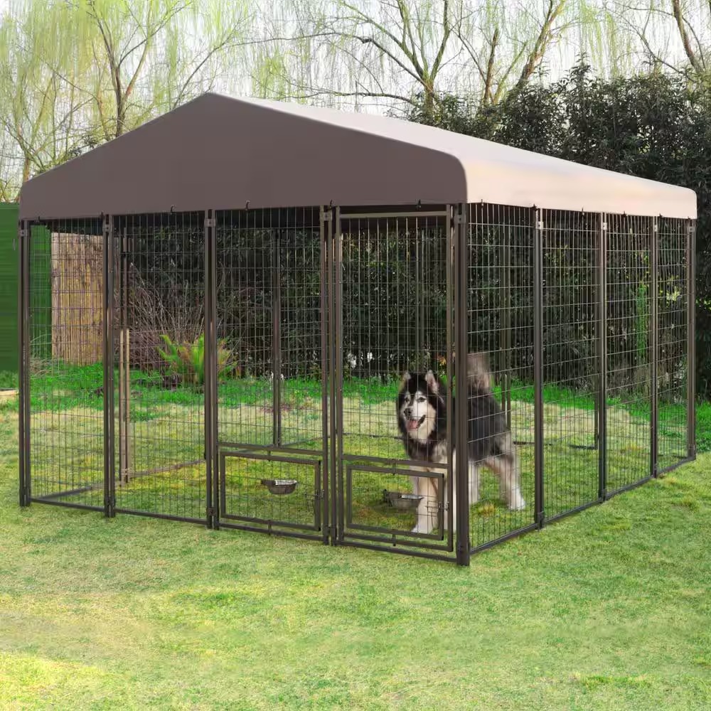 retriever dog kennel