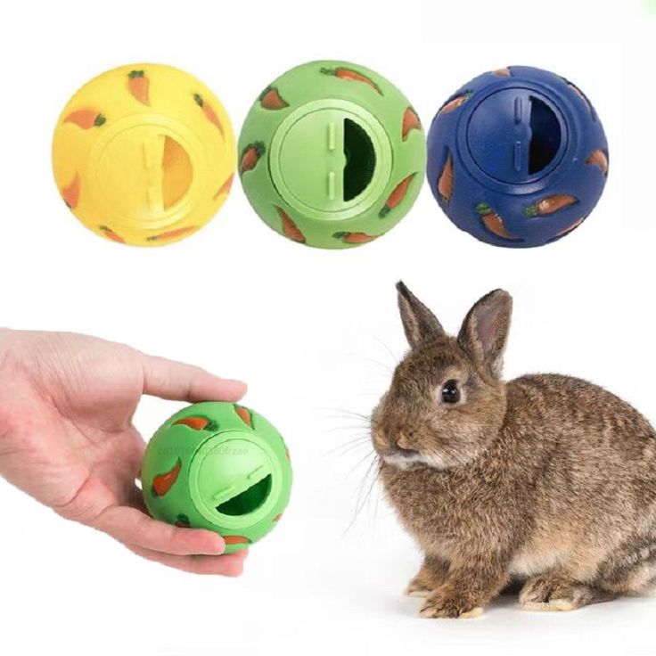 pet bunny toys