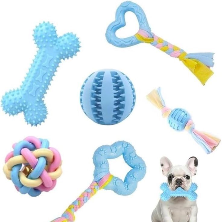 pet toys for small dogs