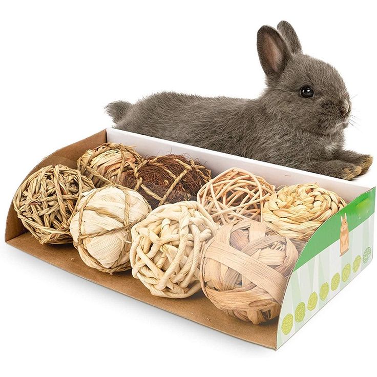 toy for rabbit