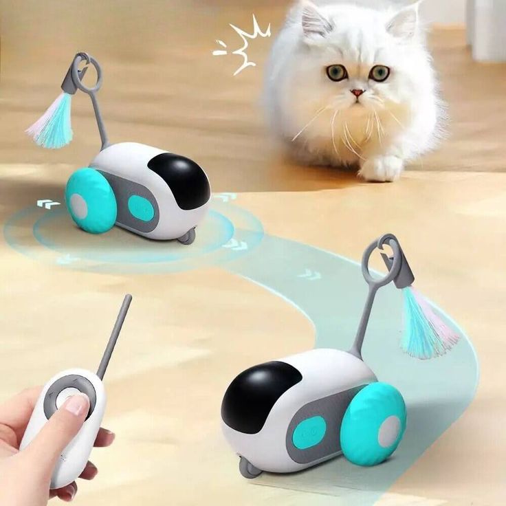 Remote Control Cat Toy