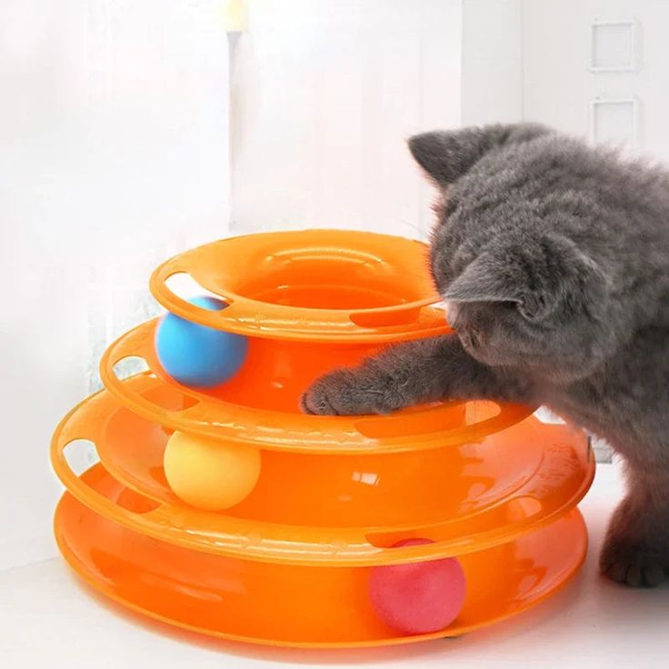 cat petting toy