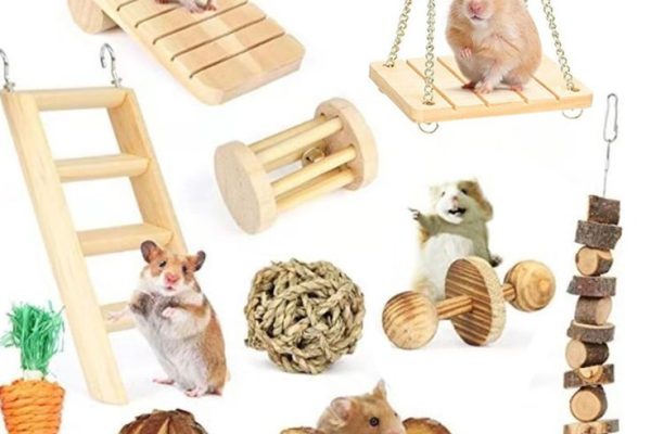 toys for pet mice