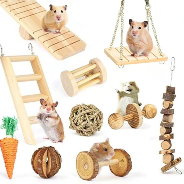 toys for pet mice