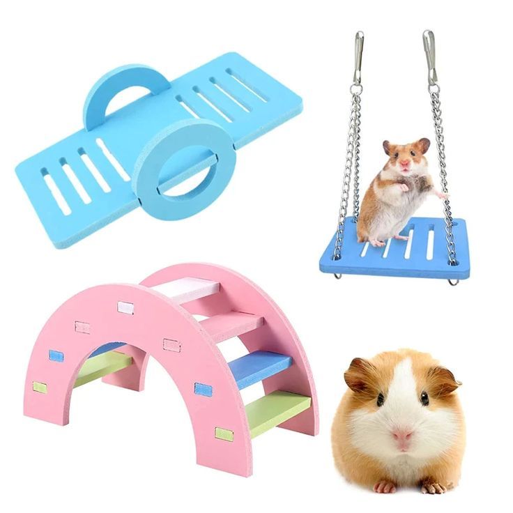 toy for hamster