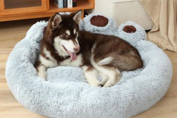 Luxury Breathable Dog Bed