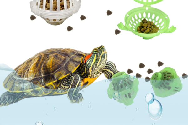 Interactive Feeder Toys