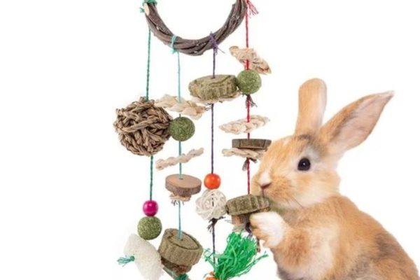 Rabbit Chew Toys