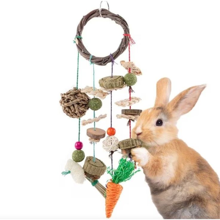 Rabbit Chew Toys