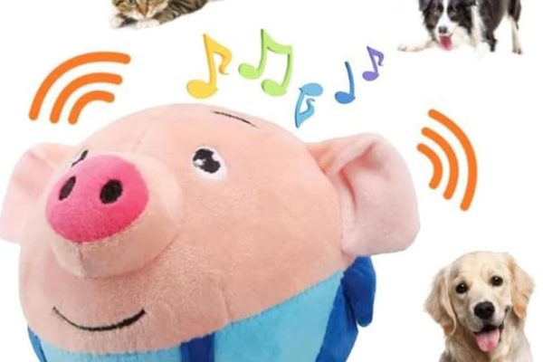 electronic pet toy