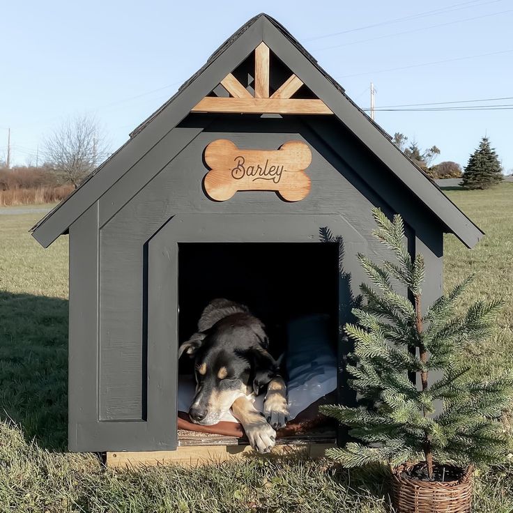 diy doghouse