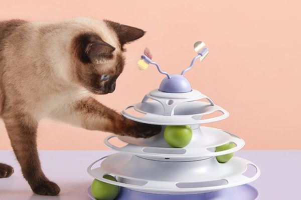 Interactive Insect Cat Spinner Toy