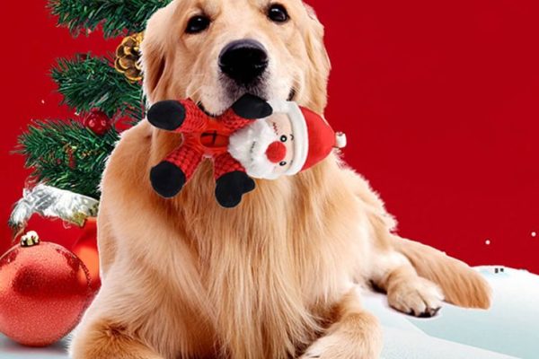 christmas pet toys for dogs