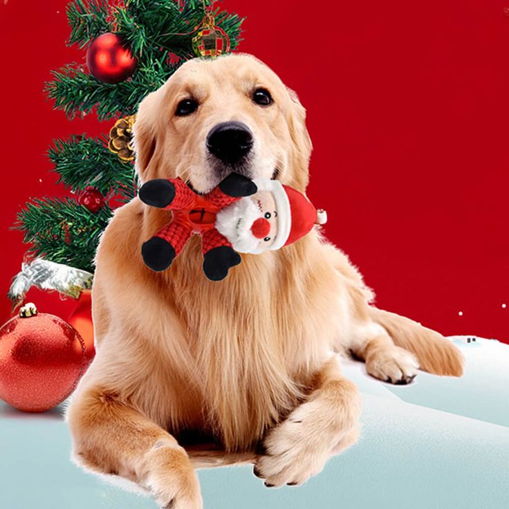 christmas pet toys for dogs