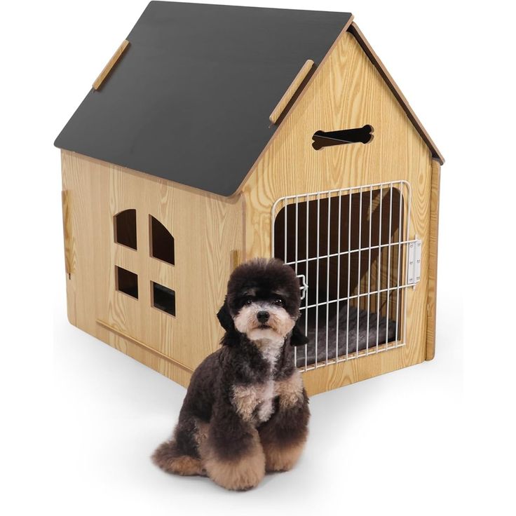 Dog House Indoor