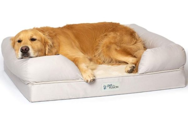 Dog Bed