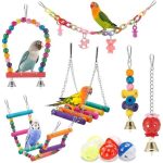 Bird Toys