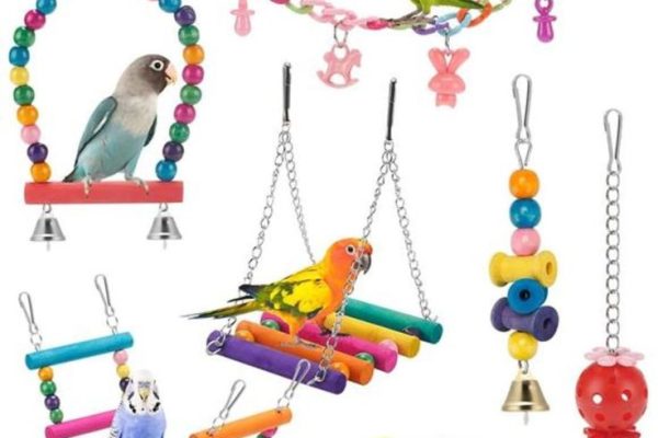 Bird Toys