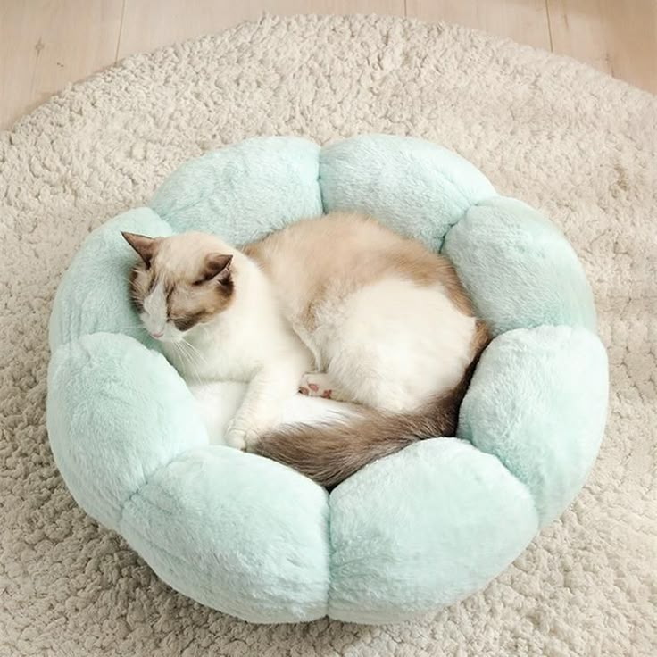 Cat bed